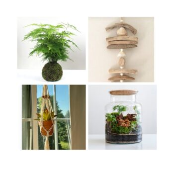 Journée créative Nature et Végétal Nivelles — kokedama macramé terrarium suspension déco — L'Atelier en Ville