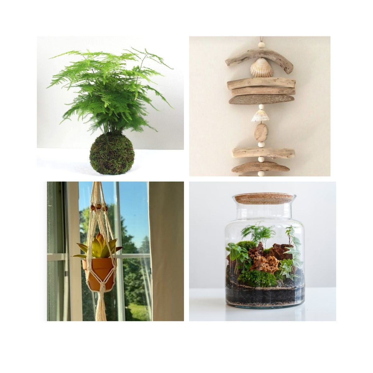 Journée créative Nature et Végétal Nivelles — kokedama macramé terrarium suspension déco — L'Atelier en Ville