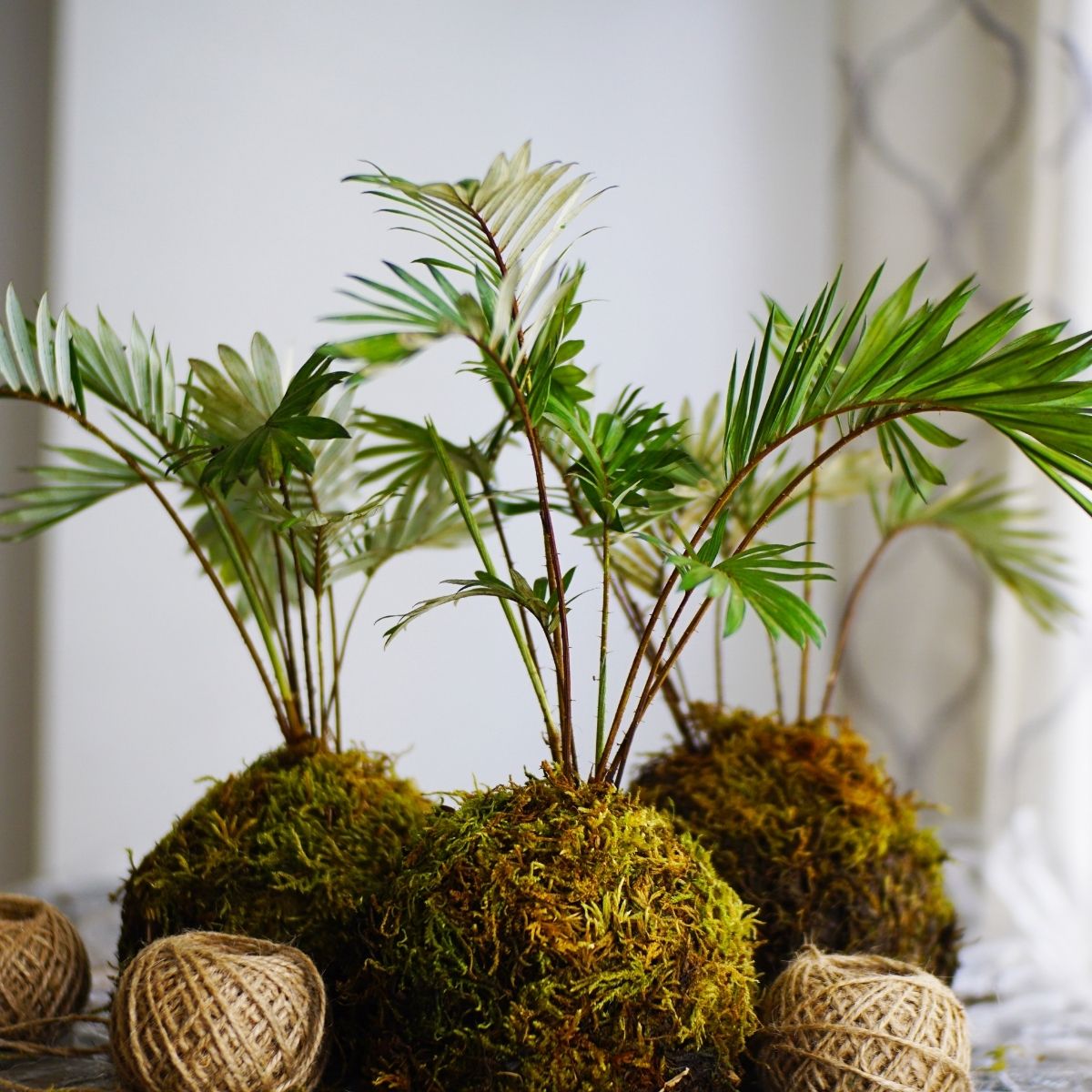 kokedamas réalisés à la main — journée créative Nature et Végétal Nivelles — L'Atelier en Ville