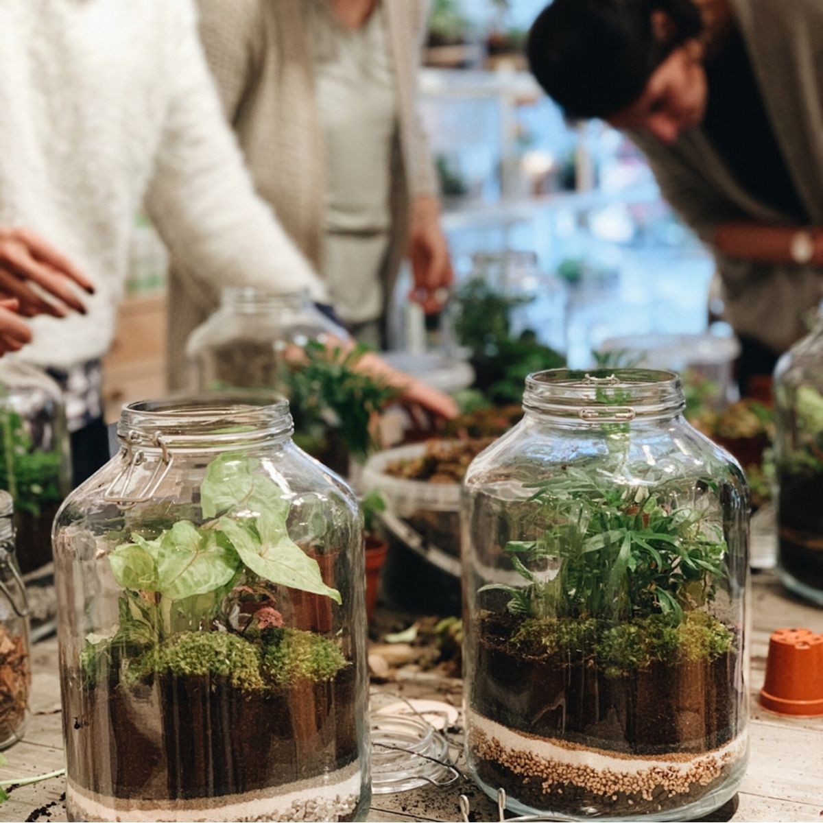 2 Terrariums réalisés à la main — journée créative Nature et Végétal Nivelles — L'Atelier en Ville