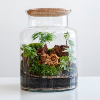 Terrarium bocal verre liège fini — résultat atelier créatif Nivelles